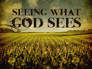 Look unto the fields