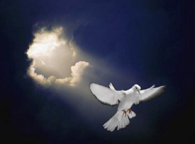 holy spirit sky