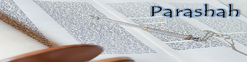 Parashah scroll yad