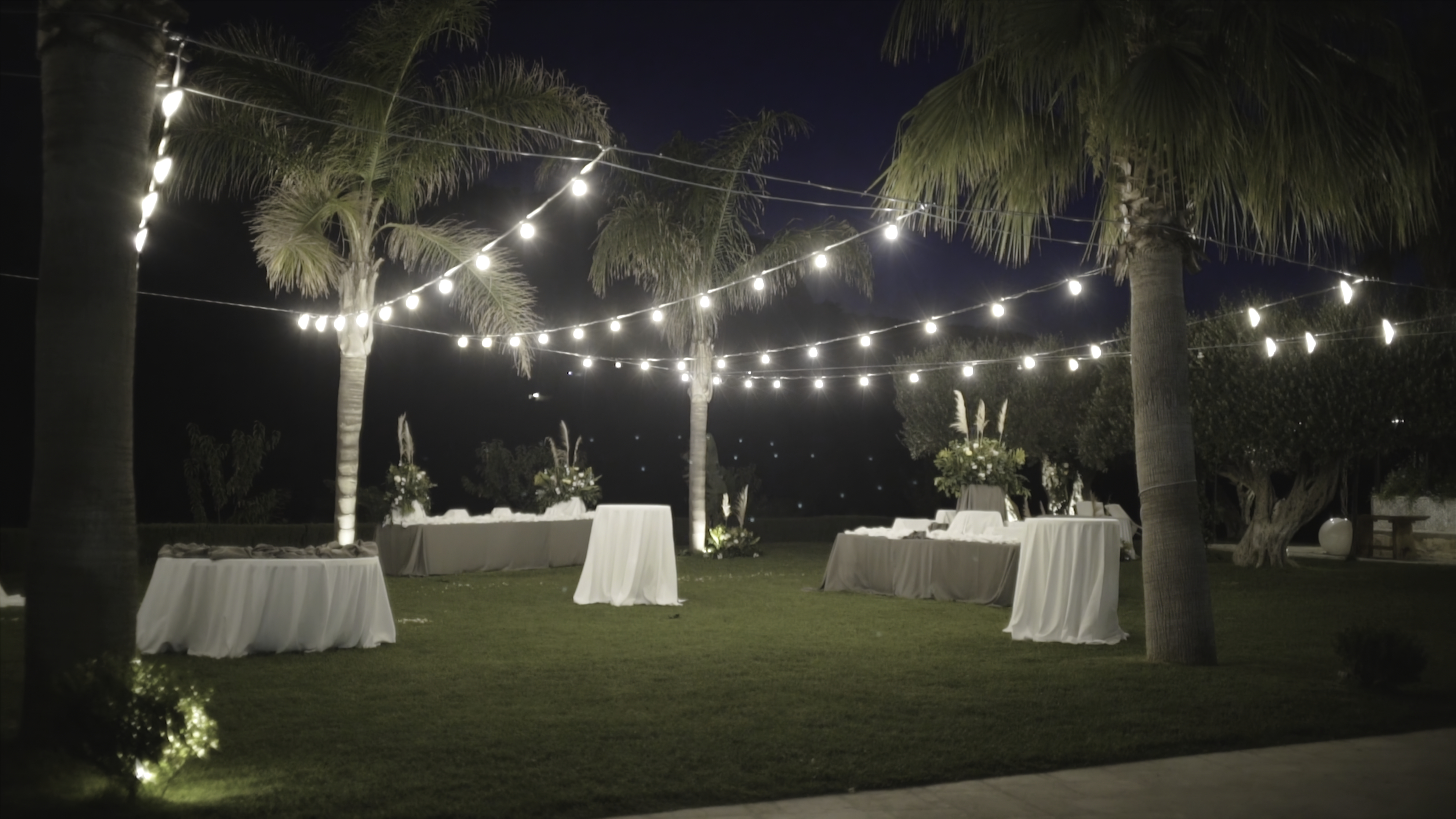 Decorated Park for weddings. Action. Beautifully decorated wedding ceremony location under a large trees.