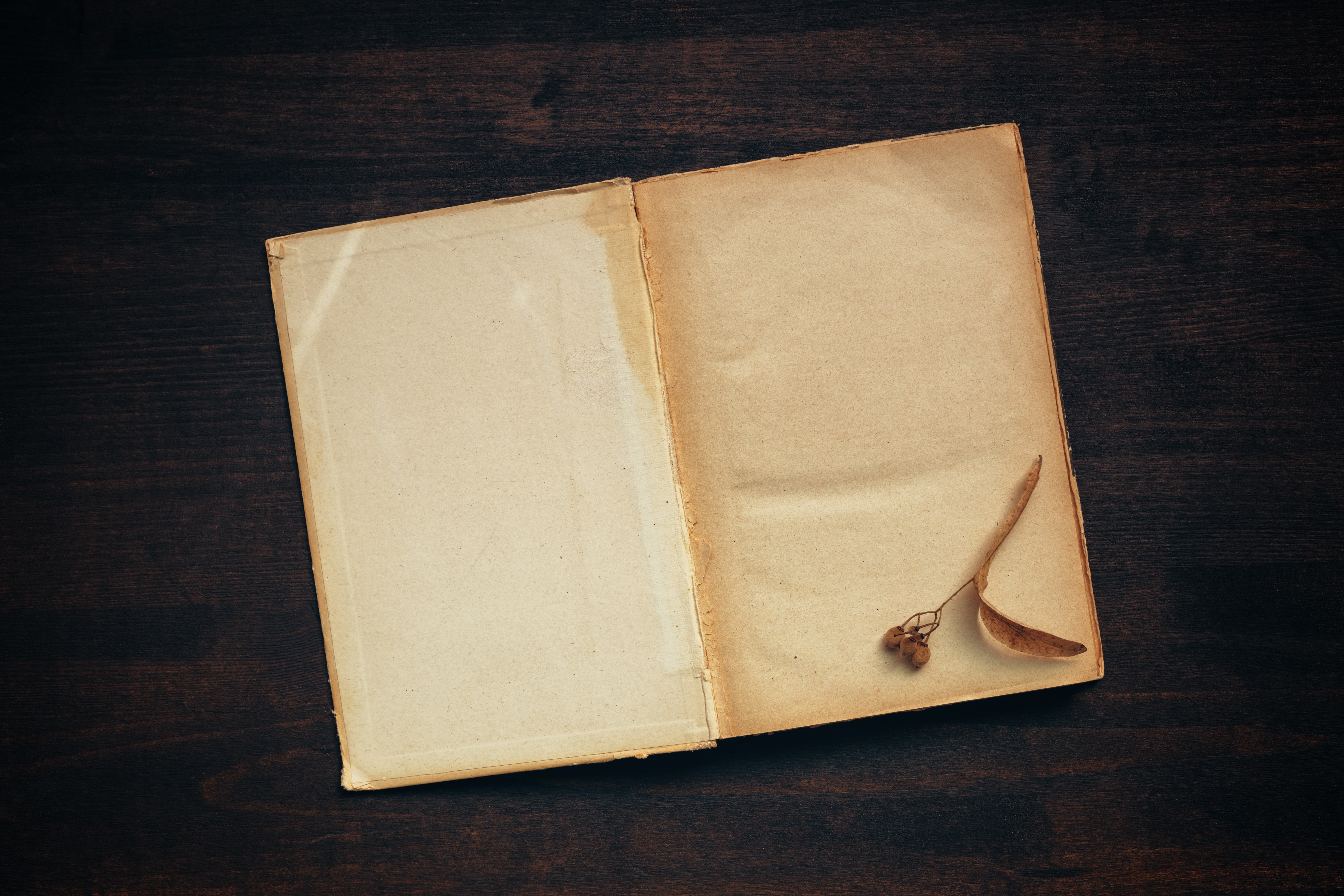 Vintage book blank pages mock up top view flat lay on dark wooden background